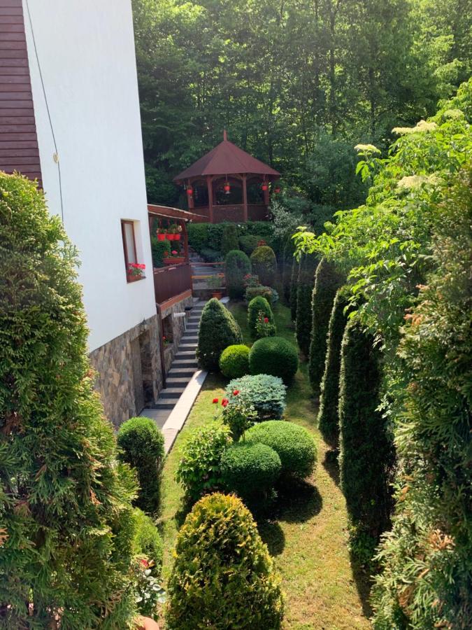 Bed and Breakfast Pensiunea Eva à Sovata Extérieur photo