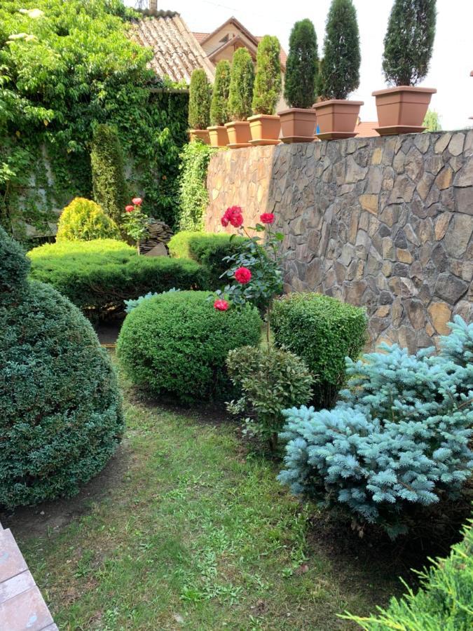 Bed and Breakfast Pensiunea Eva à Sovata Extérieur photo