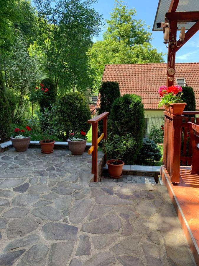 Bed and Breakfast Pensiunea Eva à Sovata Extérieur photo