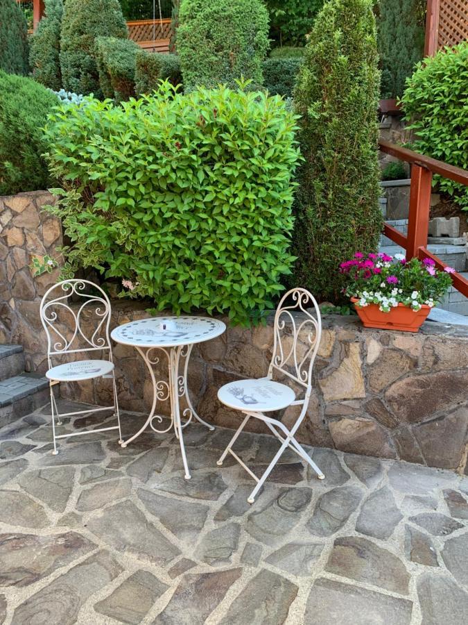 Bed and Breakfast Pensiunea Eva à Sovata Extérieur photo