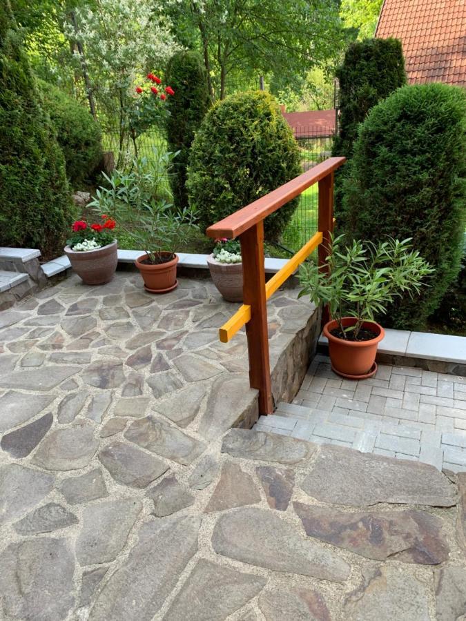 Bed and Breakfast Pensiunea Eva à Sovata Extérieur photo