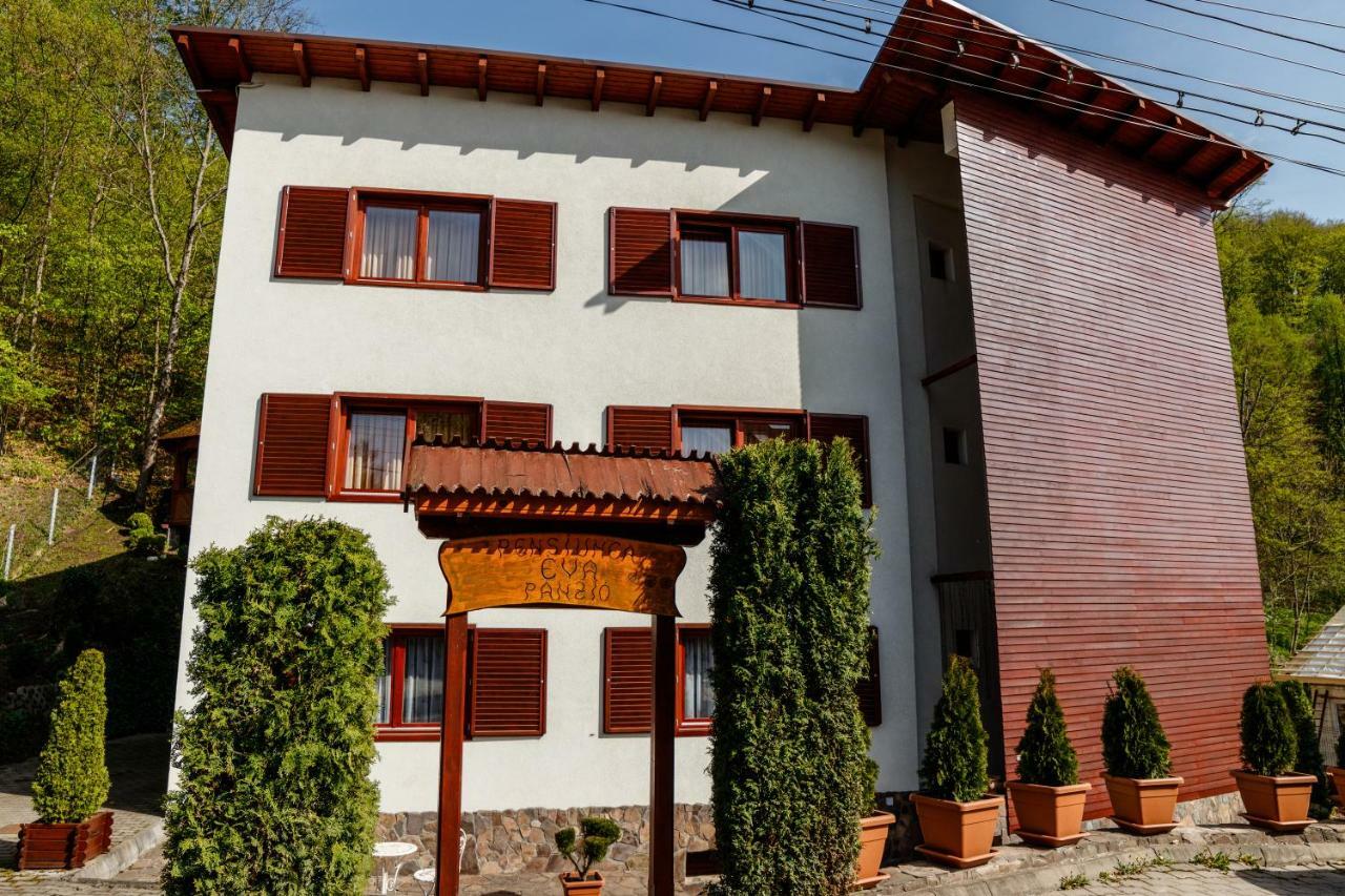 Bed and Breakfast Pensiunea Eva à Sovata Extérieur photo