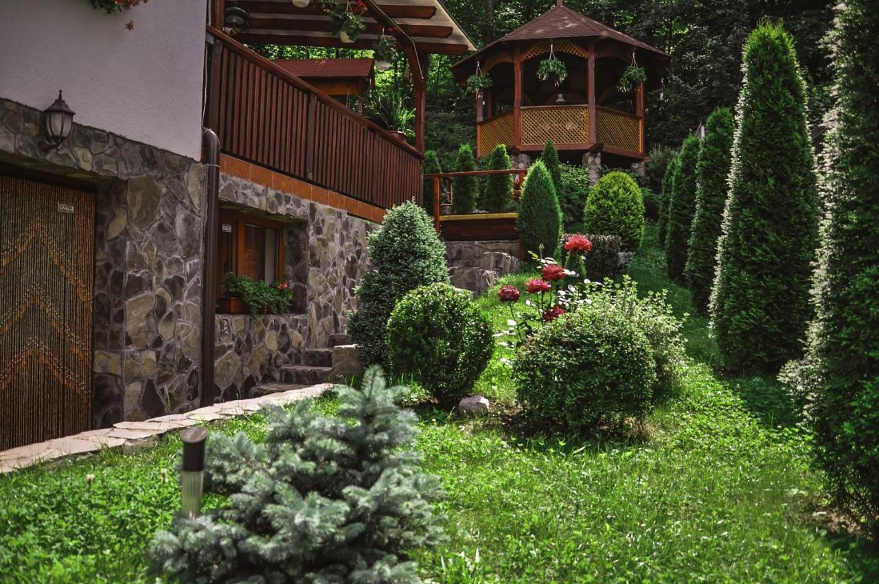 Bed and Breakfast Pensiunea Eva à Sovata Extérieur photo